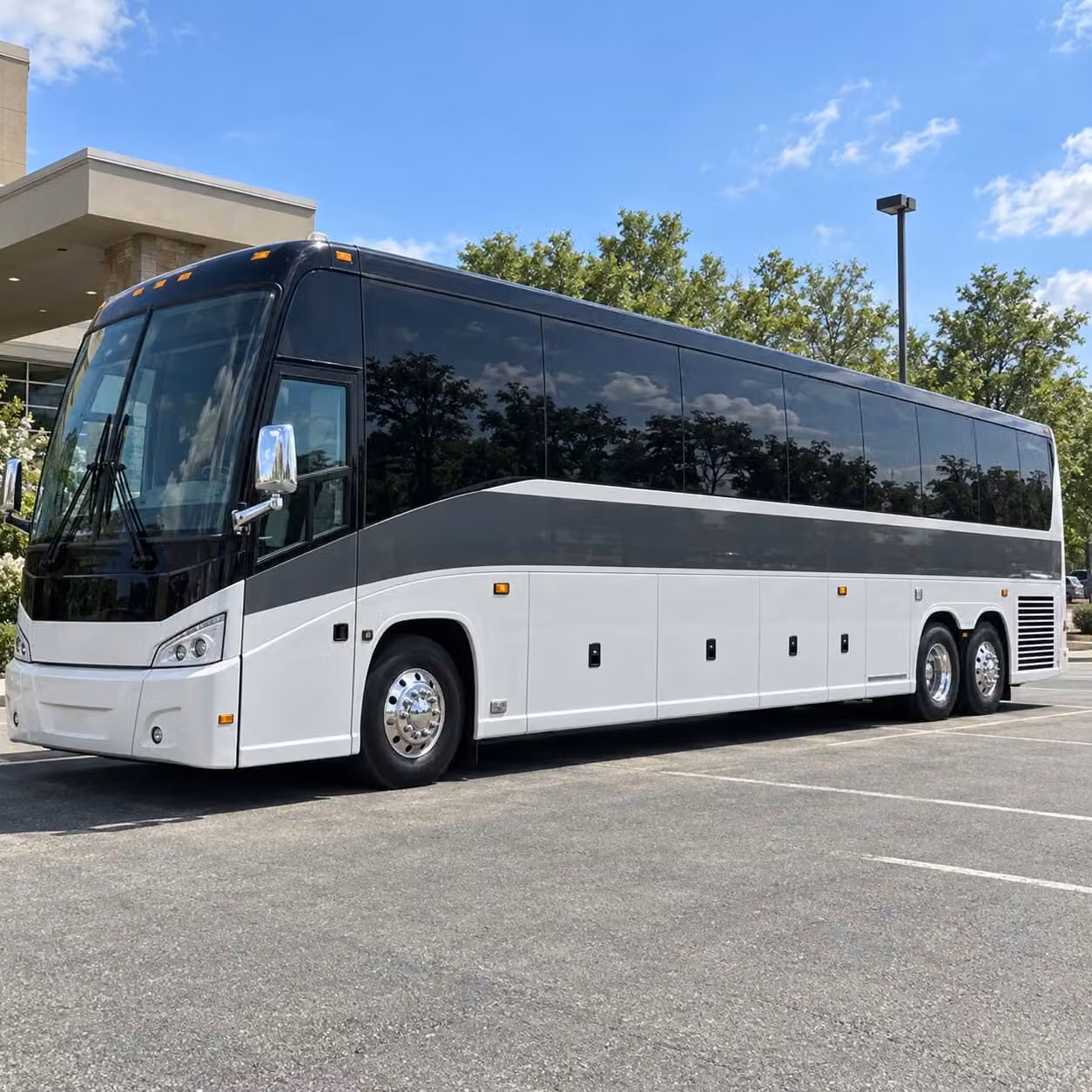 full size charter buses for large albuquerque school groups and multi classroom field trips
